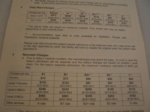 これがその料金設定表。低体重児だった娘はLevel2に該当。CとB1で3倍の違い、でもケア内容は全く同じです