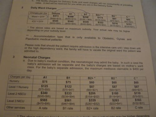 これがその料金設定表。低体重児だった娘はLevel2に該当。CとB1で3倍の違い、でもケア内容は全く同じです