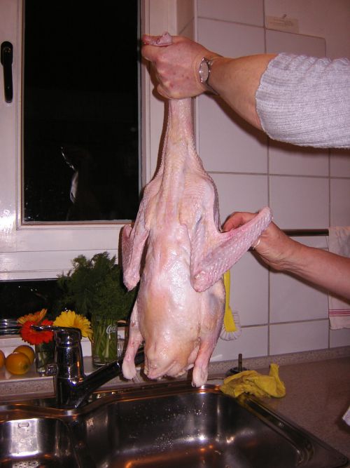 少々グロテスクですが・・・これを丸焼きにするのです