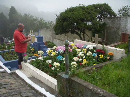 墓地に新しく植えられた花々