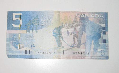 一番流通量が多いといわれる5ドル札の裏面はホッケー