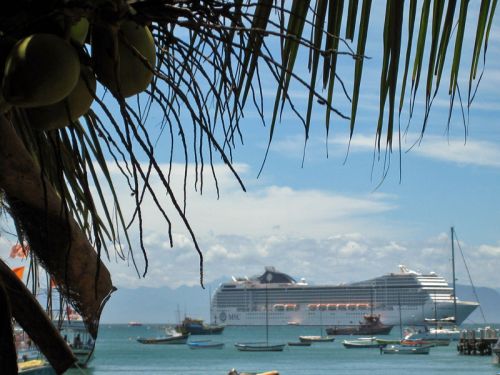 ＭＳＣムジカ号（92000トン）＝今年１月写す