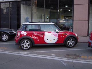 流石に現地でもよく目立ってます。車はローバーです