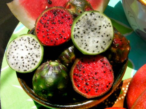 短い期間限定のPitaya(ピタヤ)