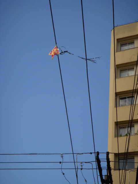 電線に引っかかった凧