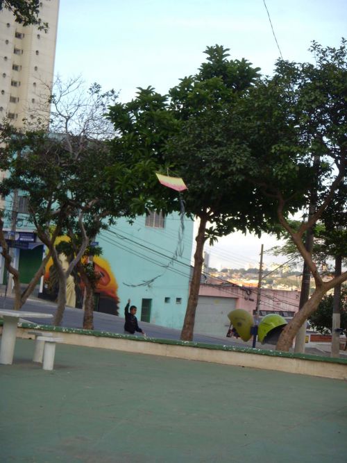 近所の公園で凧揚げを始めた少年。大きな木があるのも気にしない！