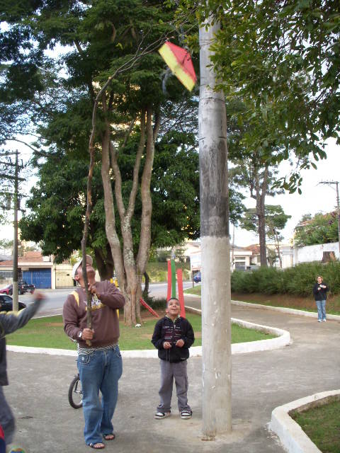 木に引っかかった凧を取るお父さん
