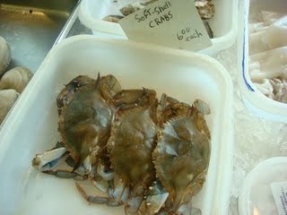 まだ生きているのか泡を吹いていました。