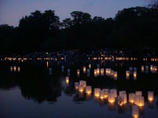水に浮かぶランタンたち