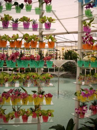 ｢花祭り｣の展示会場の一こま