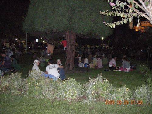 昼間は断食しているので夜活動