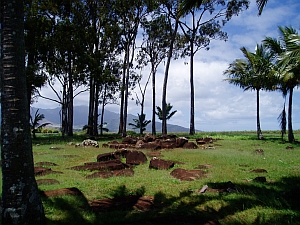 木々に守られるように横たわるバースストーン