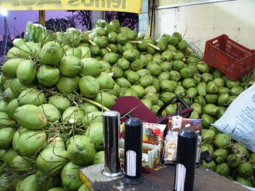 ストックされたココ・ダ・バイーアの実