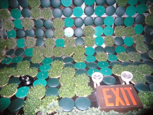 LEDライトを配した、エコな内装