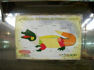 ワニ肉の各部位の解説図