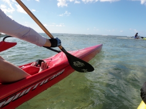 クリーンな海で朝の一漕ぎを楽しむパドラー