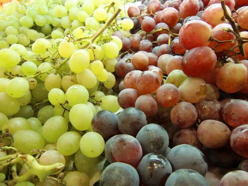 国民総人口の約4600万人が、一気に5億5200万個のブドウを消費する!