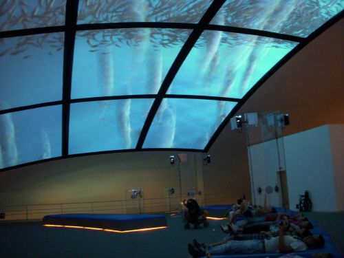 水の入ったビニールマットに横たわり、天井の大型スクリーンを見る人々（写真は魚の泳ぐ海をイメージした映像）