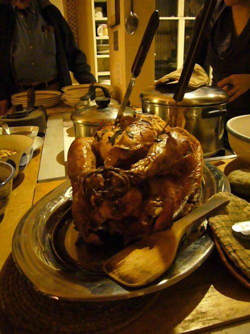 これが感謝祭ディナーには欠かせないターキー！