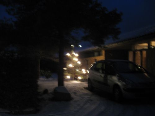 一般の家庭ではひっそりと庭の木にライトの飾りがしてあります