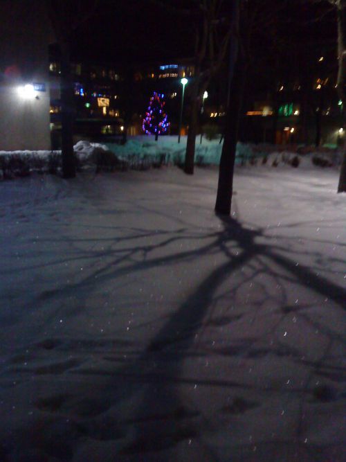 今年は雪の結晶snöstjärna/スノーファーナ（直訳すると「雪の星」）が輝く見事なホワイトクリスマスになりました