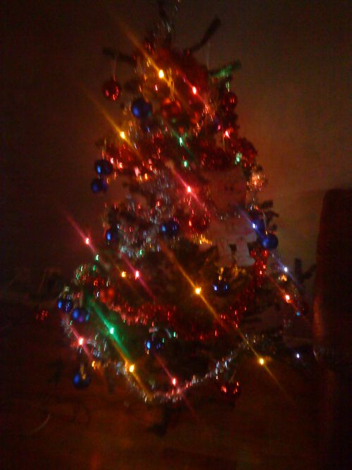 クリスマスツリーはjulgran/ユールグラーンです。スウェーデンでは早い家庭では１１月末から飾っている人もいますが、アイスランドではイブの前日２３日に飾る人が多いようです。我が家はアイスランド風に毎年イブの前日に夫と息子の二人で飾ります