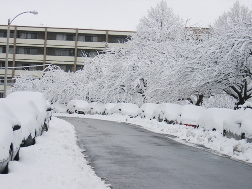 雪が降るとこんな感じ
