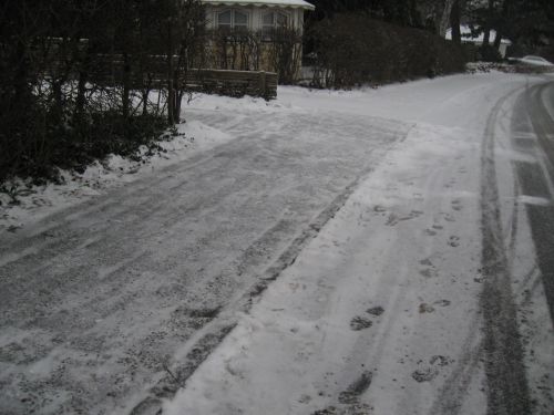 うっすら降り積もった雪をきれいにしたところ
