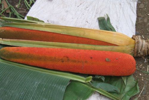 青空市場にあったマリタ