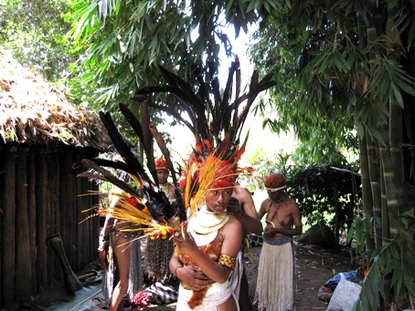 極楽鳥の頭飾り