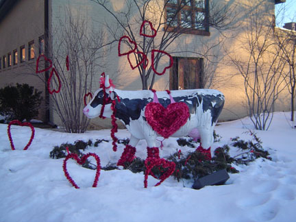 バレンタインデーになると牛でもロマンチックになるらしいですね