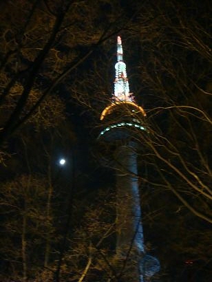夜は夜景、昼間は散歩に最適です