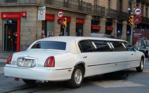 黒っぽい車ばかりの中、紅一点？白い車がありました。王妃のかも？