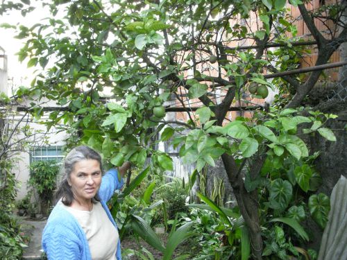 シチリア産レモンの木の前に立つイタリア人のアナさん