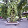 シンガポール植物園と子ども専用ガーデン
