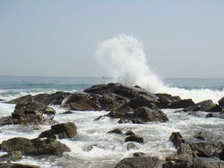 こんな豪快な景色を見ながら、ランチをどうぞ！