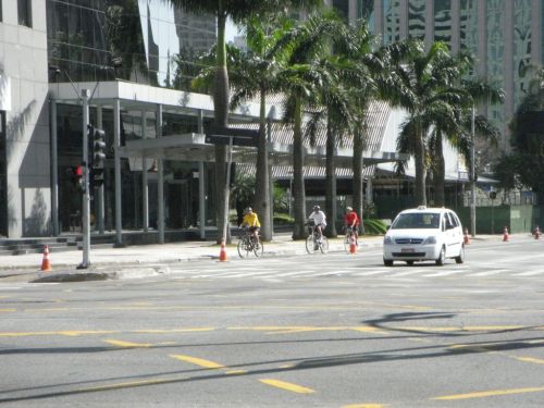 大通りのヤシの木の下をサイクリングする人