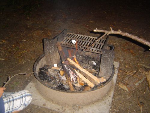 木の枝の先にマシュマロをさして、たき火で温める
