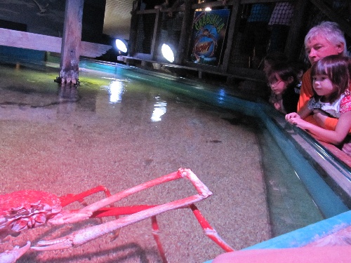 ちょっと怖そうにご対面