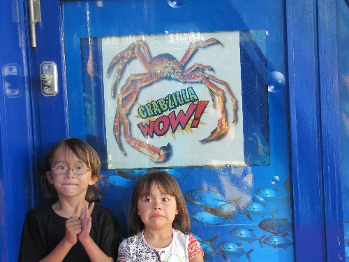 ネーミングもぴったり!?