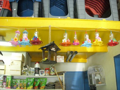 ペットショップで販売されているベイジャ・フロールを引き寄せるための小道具