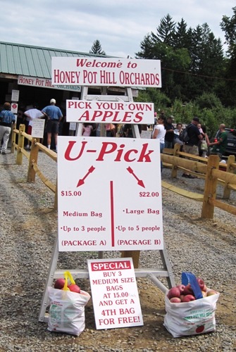 袋のサイズによって値段が違います