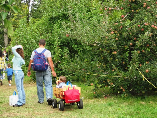 リンゴを食べながら、カートで運ばれる子ども