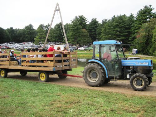 農園らしいこんな風景も…