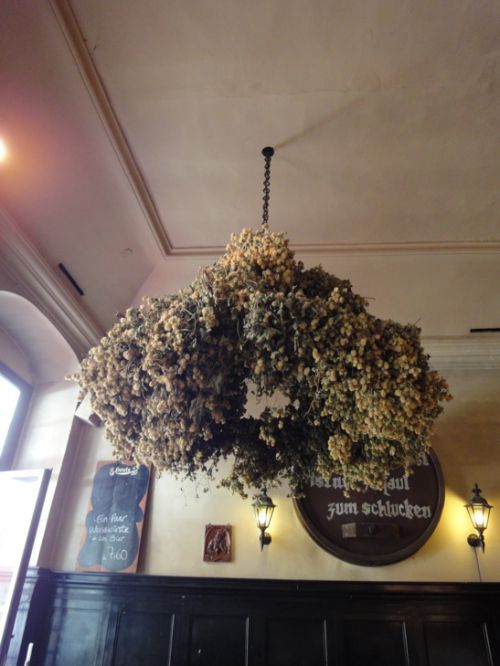 乾燥ホップが飾られたランプ