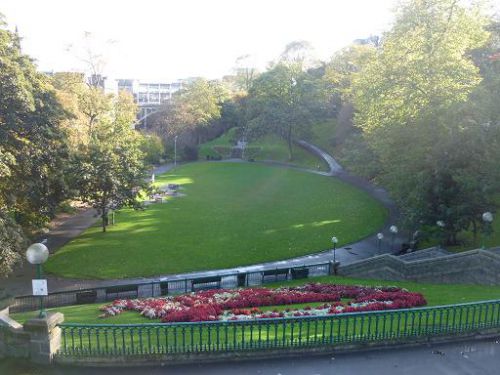 雨と逆光で煙る公園