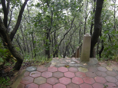 日本軍はこちら側から上がって攻めてきたのだとか