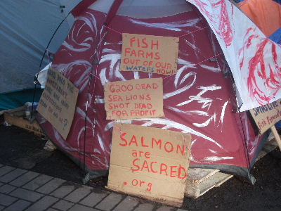 海を守るため、養殖などに反対、抗議！