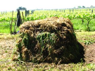 食物コンポスト、草、わら、馬の糞、土を層にしていきます