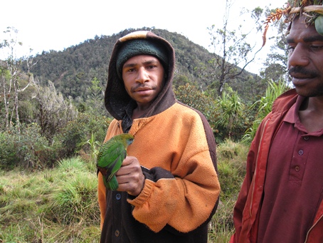 きれいなインコも獲物